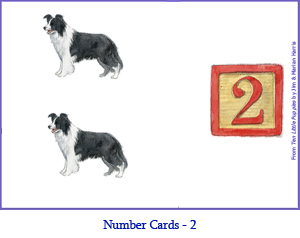 Number Card Two – 2 Border Collie Dogs